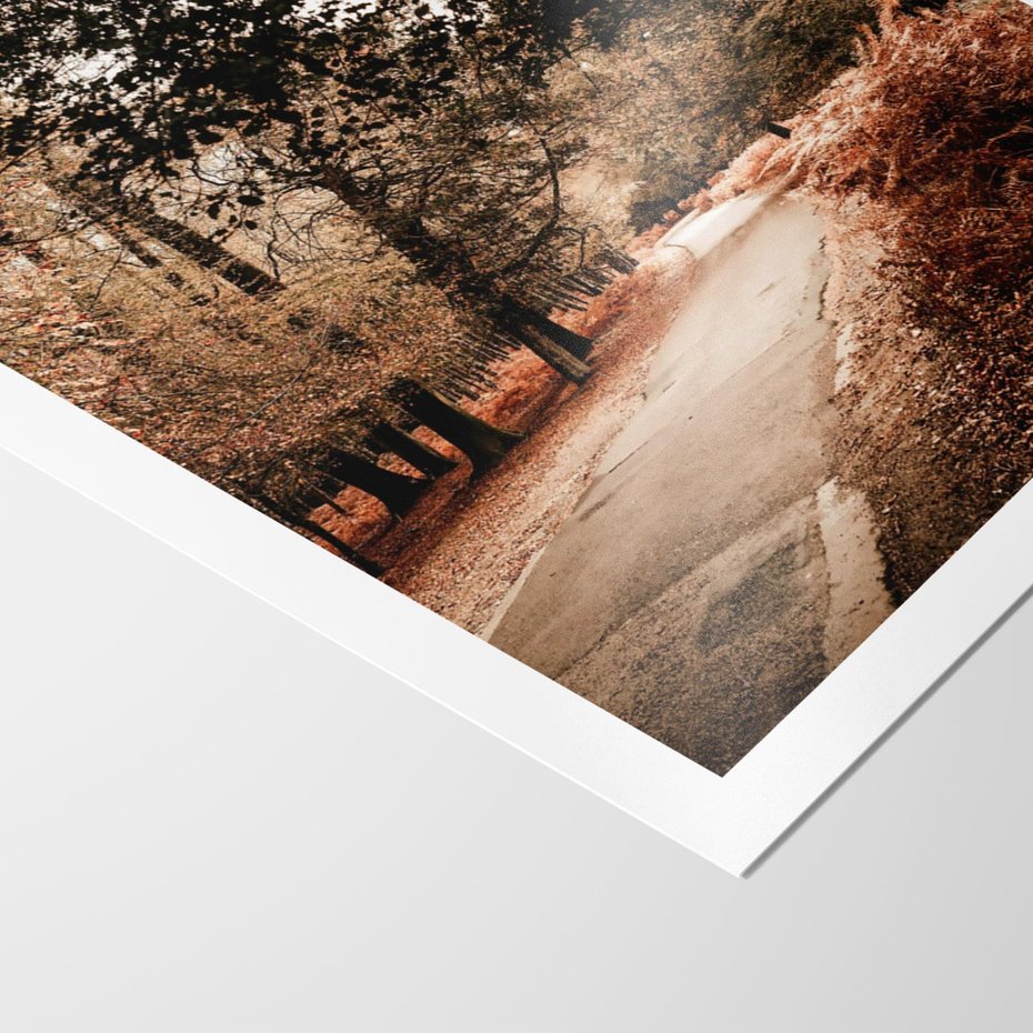 Plakat bez ramy 50x70 - Magia Jesieni: Pejzaż Parku w Odcieniach Żółci - jesień, park