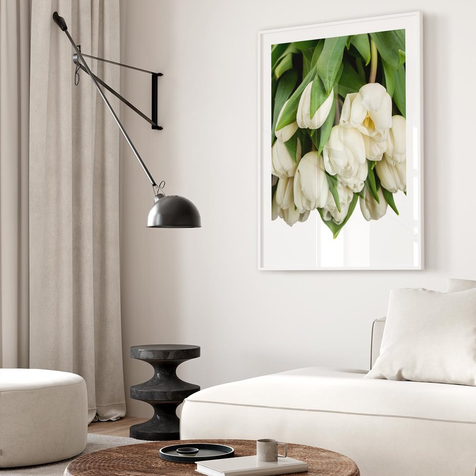 Plakat bez ramy 50x70 - Białe tulipany w pełnym rozkwicie - białe, tulipany