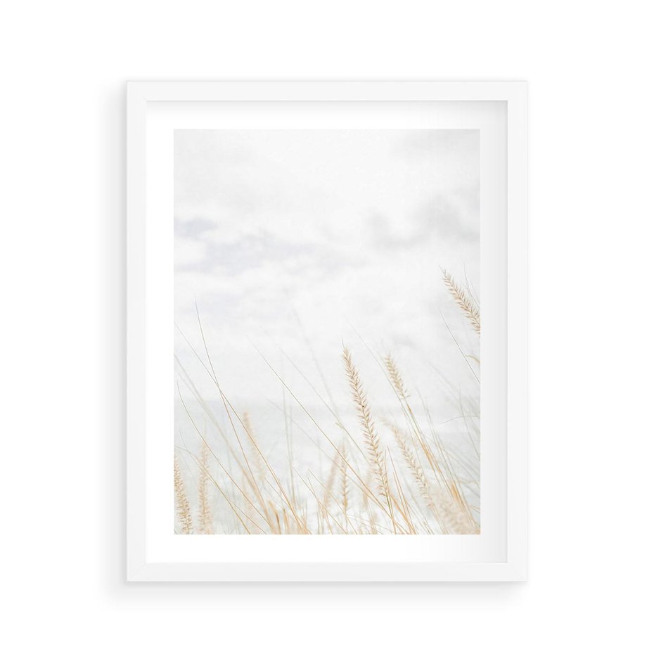 Plakat w ramie 40x50 - Jasna Delikatność: Fotografia Suchych Traw - suche trawy, jasna fotografia - rama biała