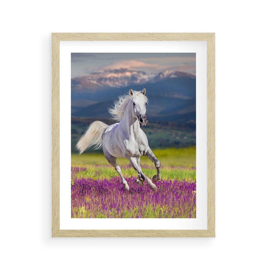 Plakat w ramie 40x50 - Koń Góry: Spotkanie z Wielką Przyrodą - koń, góry - rama drewno