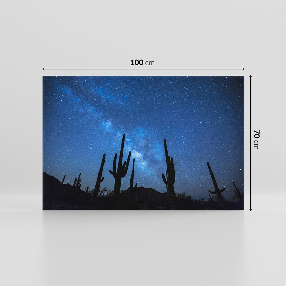 Obraz na płótnie 100x70 - Kaktusy - Niebo z gwiazdami - kaktusy, niebo