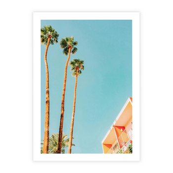 Plakat bez ramy 21x30 - Letnie Marzenia - palmy, na tle nieba