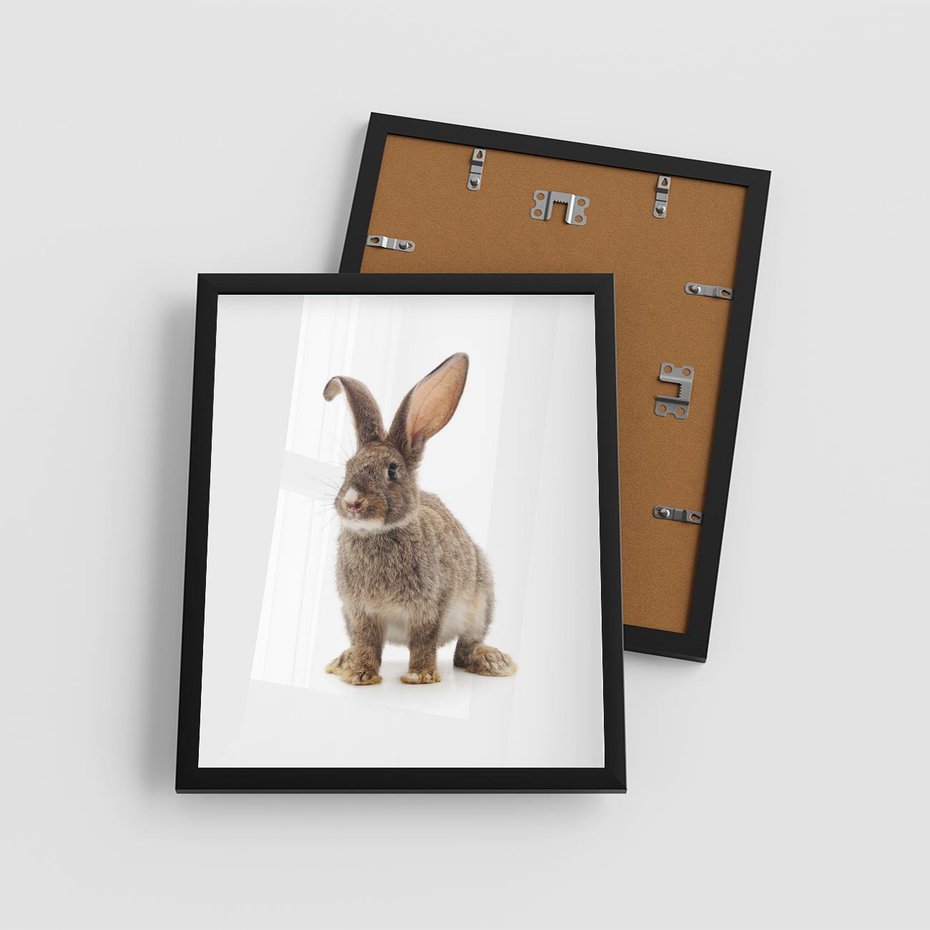 Plakat w ramie 40x50 - Delikatna Zwierzęca Uroda - królik, zwierzę - rama czarna