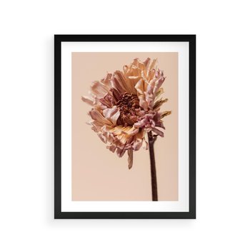 Plakat w ramie 30x40 - Delikatne piękno - suche, kwiaty - rama czarna