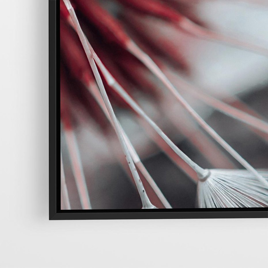 Obraz w ramie 100x70 - Makro świat dmuchawca - dmuchawiec, makro - rama czarna