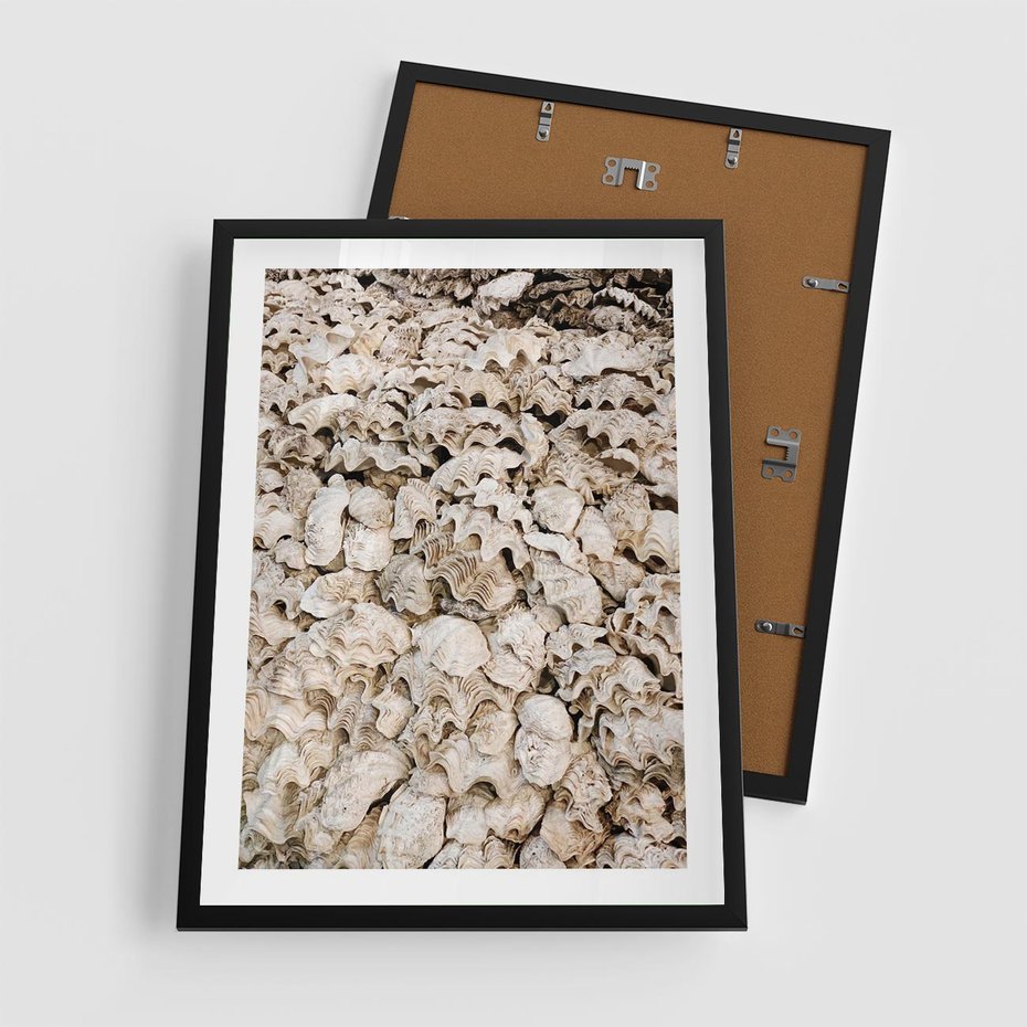 Plakat w ramie 50x70 - Symfonia Natury - kompozycja z białych muszli - rama czarna