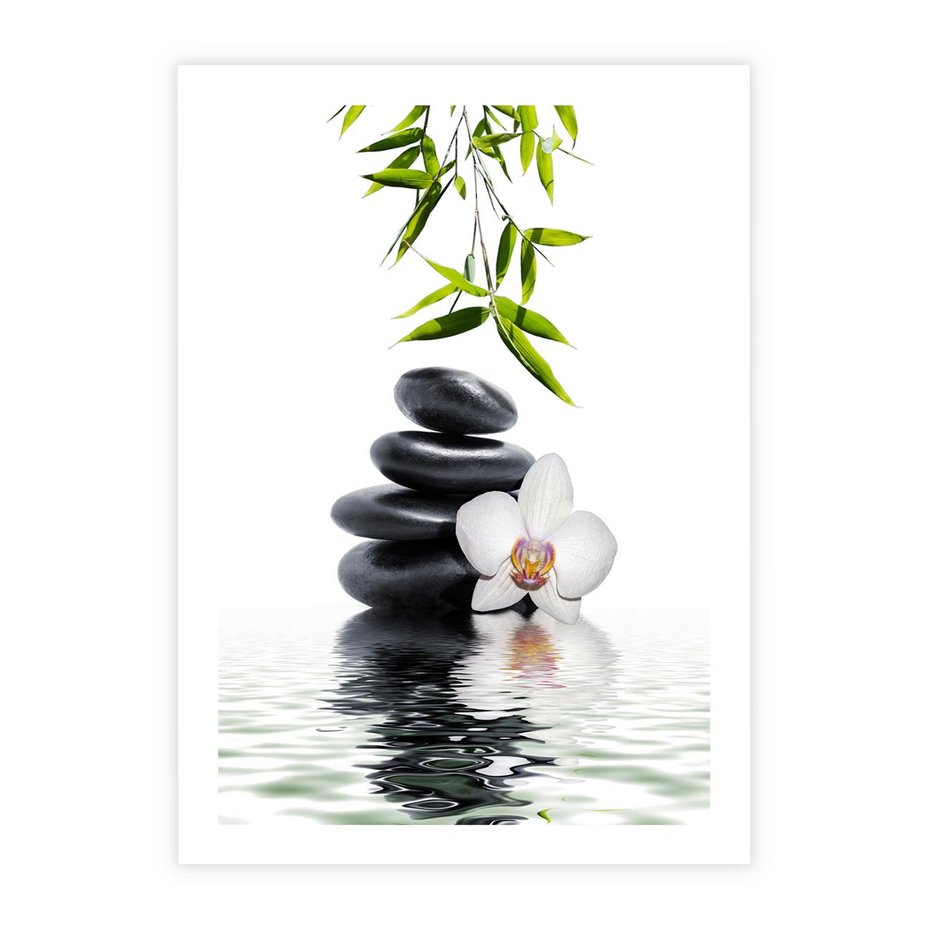 Plakat bez ramy 30x40 - Orchidea w Spa - spa, orchidea
