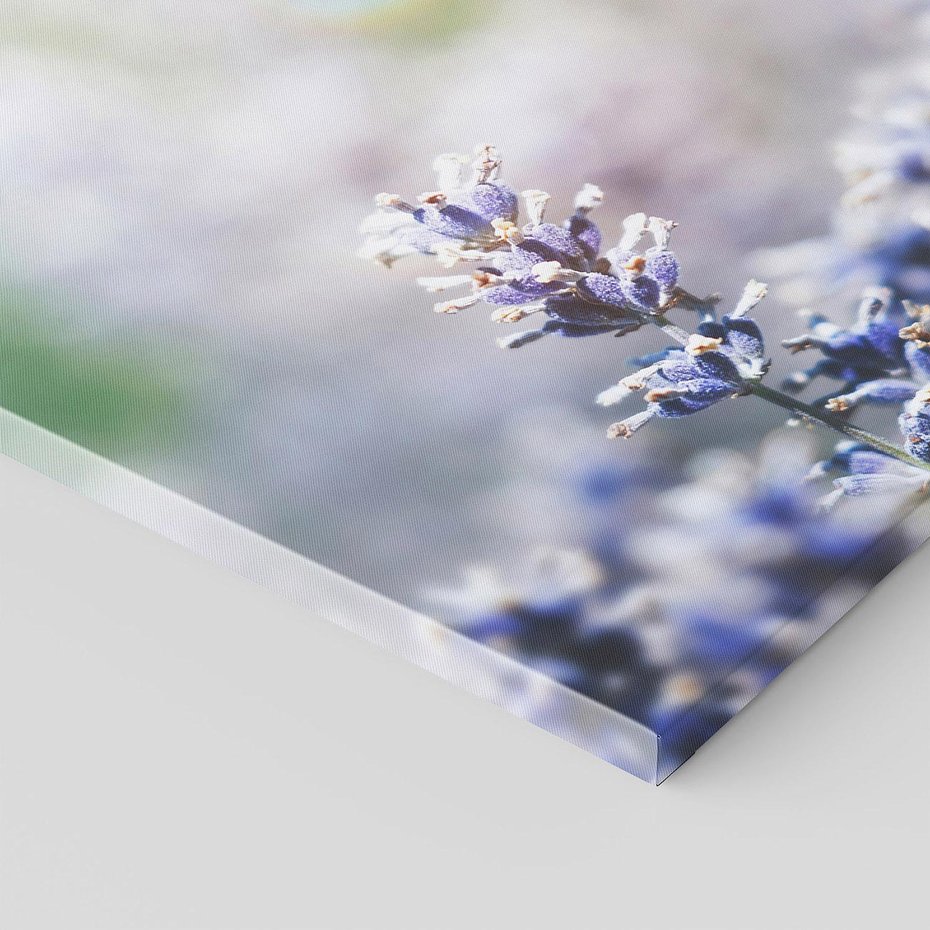 Obraz na płótnie 60x60 - Delikatna Uroda Natury - wrzosy, fiolet