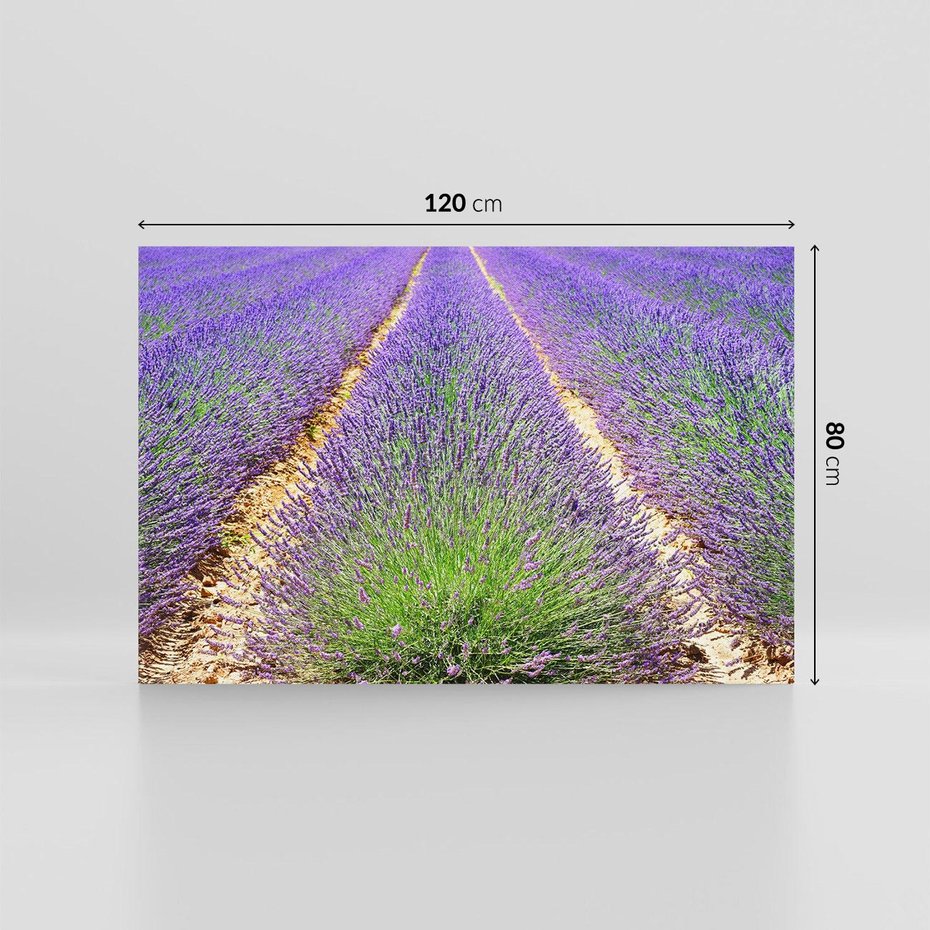 Obraz na płótnie 120x80 - Lawendowy kwiat - lawenda, kwiat