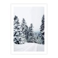 Plakat bez ramy 21x30 - Zimowy Las Pod Kołdrą - las, zima