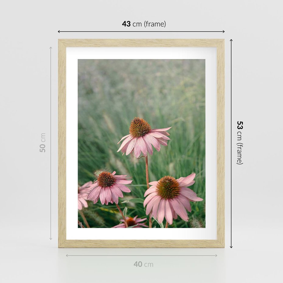 Plakat w ramie 40x50 - Natura w Pełnym Blasku - kwiaty na łące, różowe kwiaty polne - rama drewno