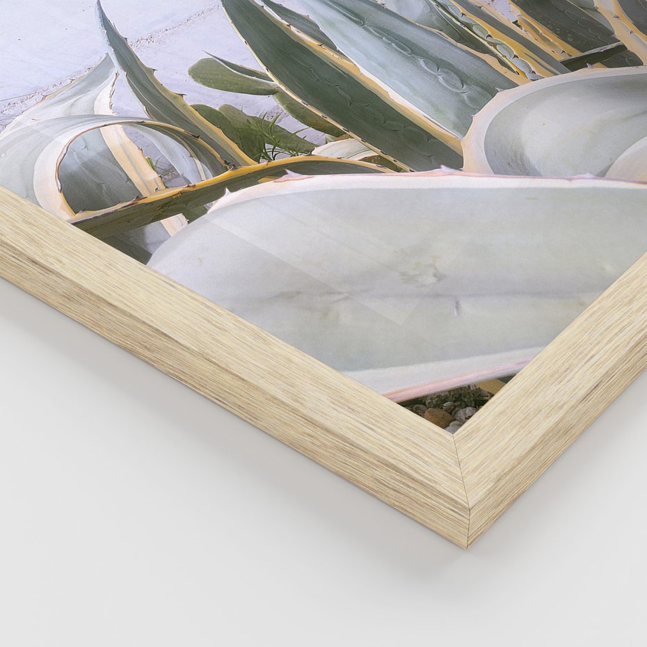 Zestaw obrazy w ramie 40x50 galeria - Stare, drzwi, liście, sanseweria - rama drewno