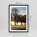 Plakat w ramie 50x70 - Siła natury - drzewa, pole - rama czarna