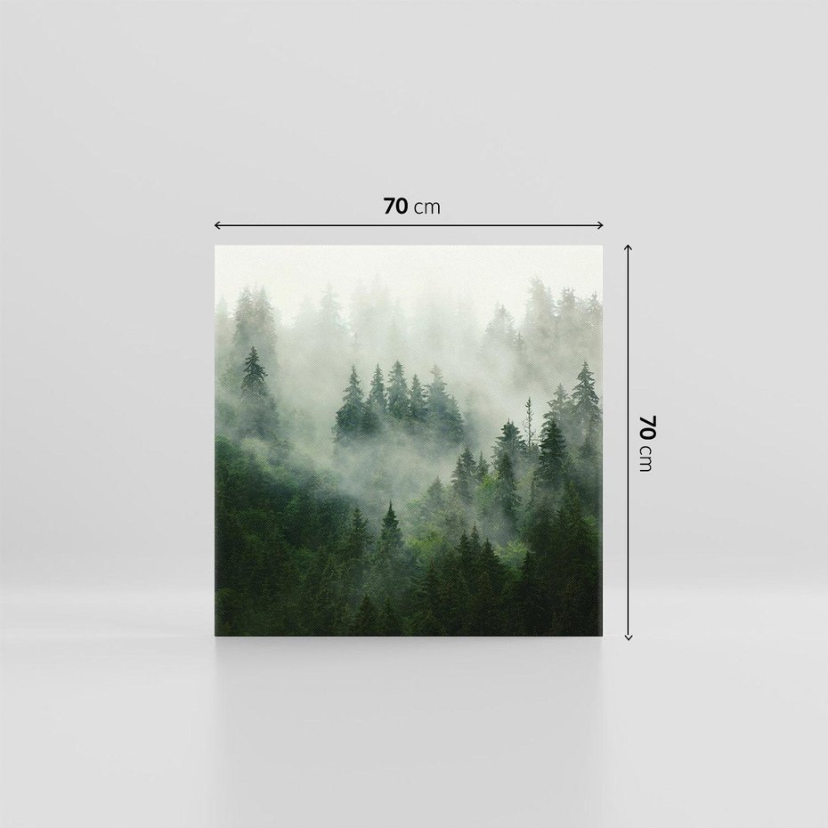 Obraz na płótnie 70x70 - Las Mgły - Las, we