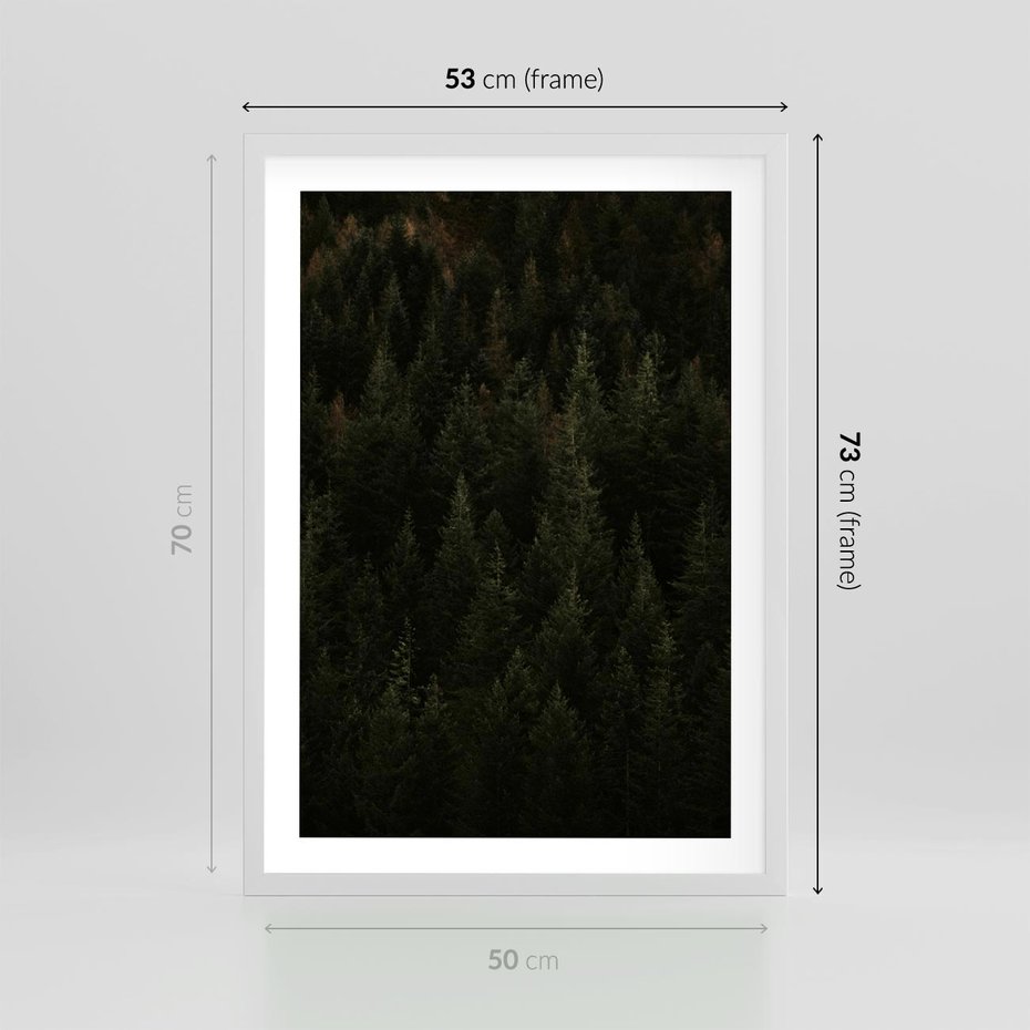 Plakat w ramie 50x70 - Ciemny las iglasty - las, iglasty - rama biała
