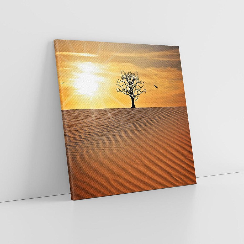 Obraz na płótnie 70x70 - Pustynia - Drzewo i słońce - pustynia, drzewo