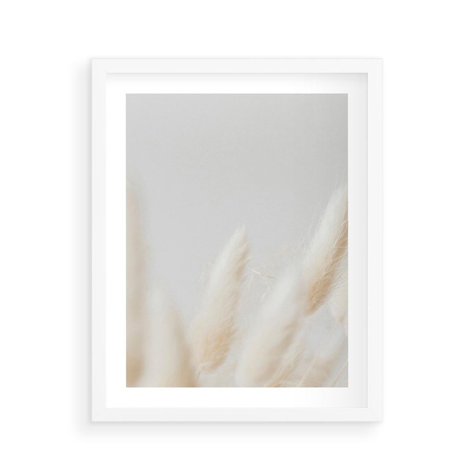 Plakat w ramie 40x50 - Biały Spokój - białe trawy, suche trawy pampas - rama biała