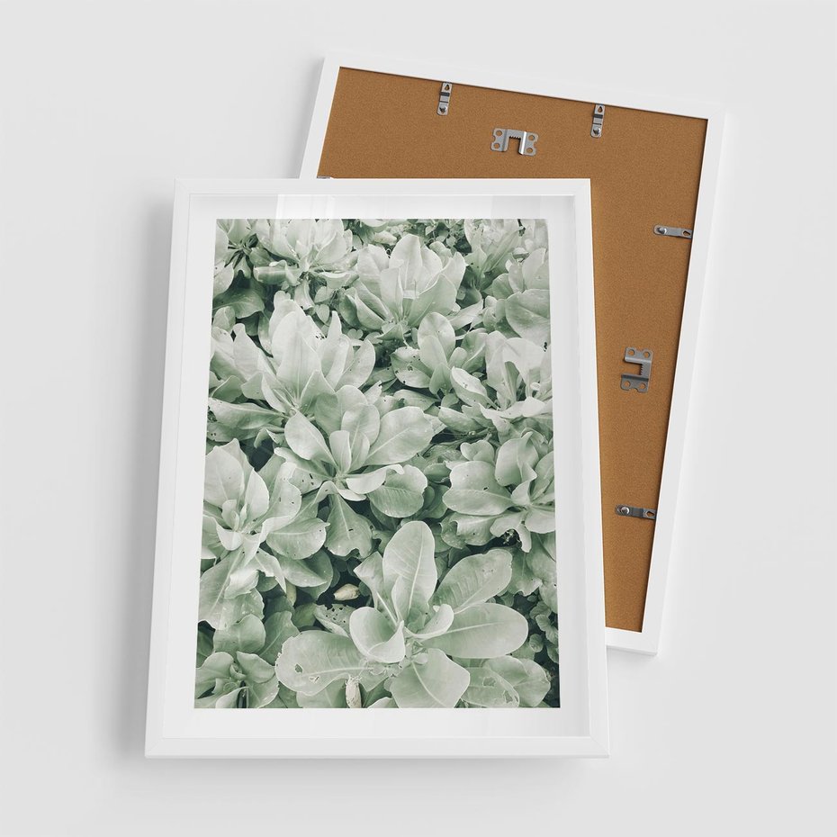 Plakat w ramie 50x70 - Liście w Jasnych Odcieniach Zielonego - liście, jasna zieleń fotografia - rama biała