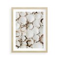 Plakat w ramie 40x50 - Białe Muszle - białe muszle, ujęcie z góry - rama drewno