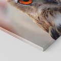 Obraz na płótnie 120x80 - Mądra sowa w locie - sowa, ptak