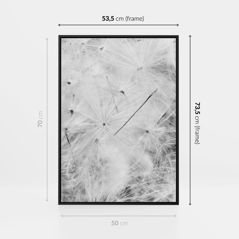 Obraz w ramie 50x70 - Zdmuchnięty Puch - dmuchawce, delikatne - rama czarna