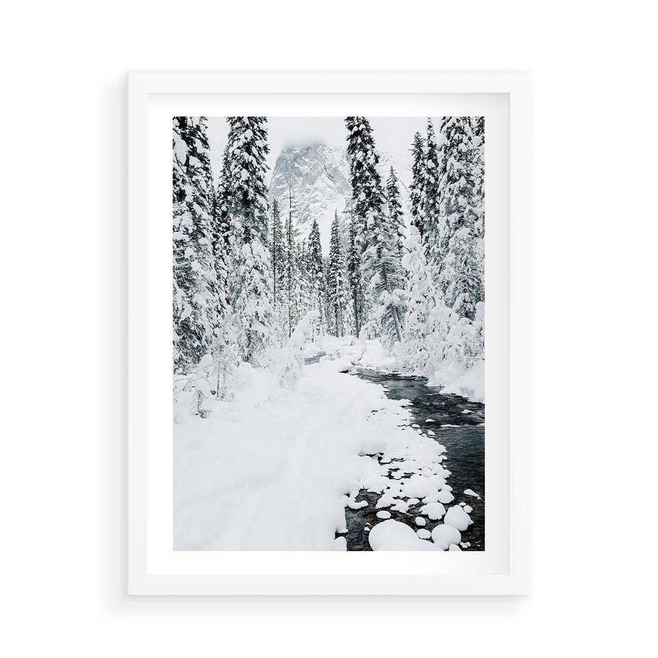 Plakat w ramie 50x70 - Spokój Zimowego Lasu w Górach - zima w lesie, w górach - rama biała