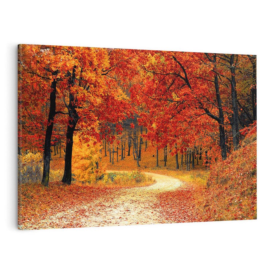 Obraz na płótnie 120x80 - Jesienna melodia lasu - jesień, las