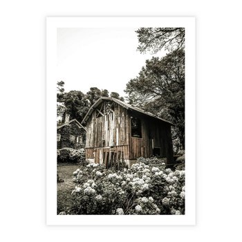 Plakat bez ramy 21x30 - Oaza Uroku: Drewniana Chatka i Ogród - domek, ogród