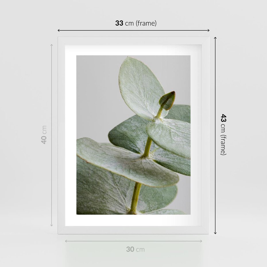 Plakat w ramie 30x40 - Eukaliptusowa zieleń - eukaliptus, zielone - rama biała