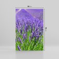 Obraz na płótnie 50x70 - Lawendowe pola piękno natury - lawenda, kwiaty