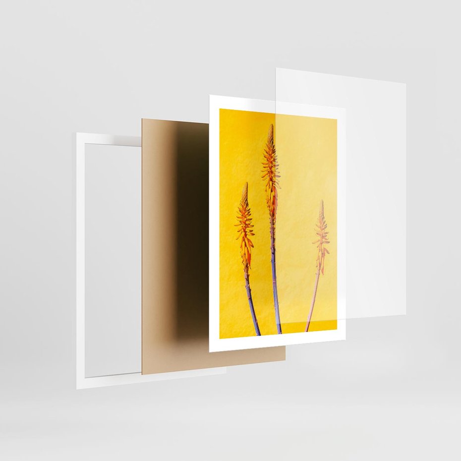 Plakat w ramie 50x70 - Radość Natury - kolor, kwiaty - rama biała