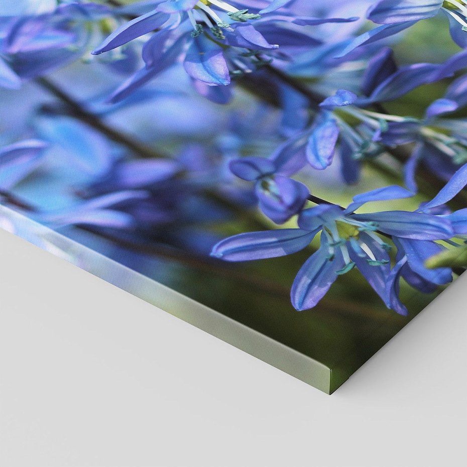 Obraz na płótnie 70x50 - Kwiatowa symfonia natury - kwiat, kwiaty