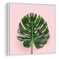 Obraz w ramie 80x80 - Egzotyczna Roślinność - liście, monstera - rama biała