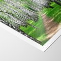 Plakat bez ramy 30x40 - Bajkowy las pełen brzóz - las, brzozy