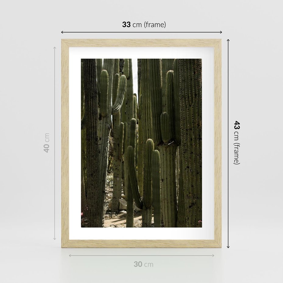 Plakat w ramie 30x40 - Wyjątkowy Klimat Boho - kaktusy, pustynia - rama drewno
