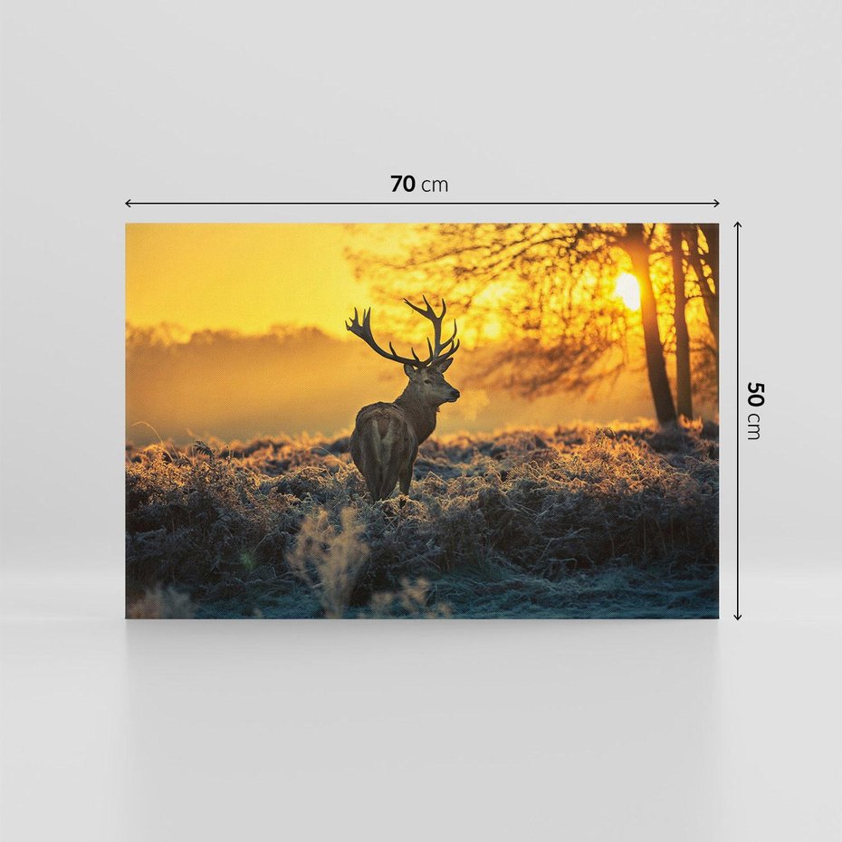 Obraz na płótnie 70x50 - Jesienne Spotkanie w Lesie - jeleń, jesień