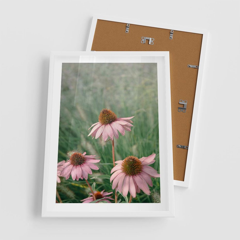 Plakat w ramie 50x70 - Natura w Pełnym Blasku - kwiaty na łące, różowe kwiaty polne - rama biała