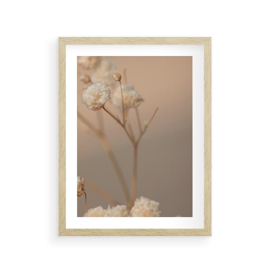 Plakat w ramie 30x40 - Subtelna gipsówka - gipsówka, suche - rama drewno