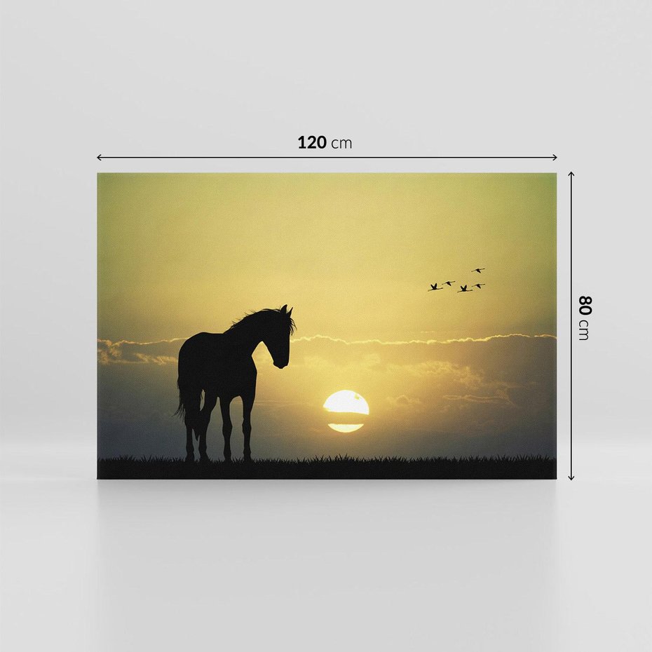 Obraz na płótnie 120x80 - Koń w Zachodnim Świetle - koń, ptaki