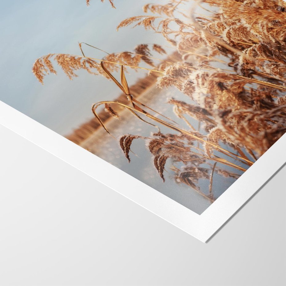 Plakat bez ramy 21x30 - Wyraz Stylu - trawy, boho