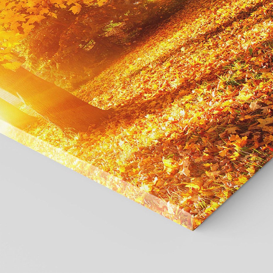 Obraz na płótnie 70x100 - Magia jesiennego lasu - las, drzewa