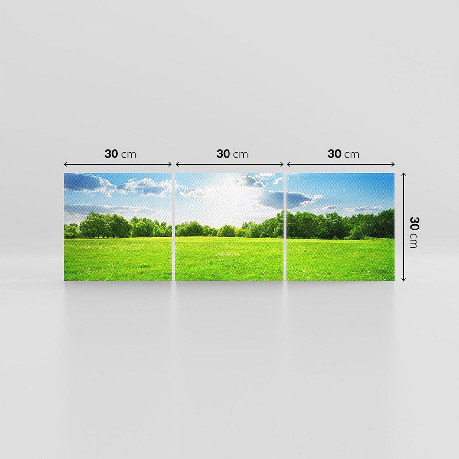 Obraz na płótnie 90x30 - Idylla na łące drzew - łąka, drzewa