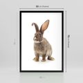 Plakat w ramie 50x70 - Delikatna Zwierzęca Uroda - królik, zwierzę - rama czarna