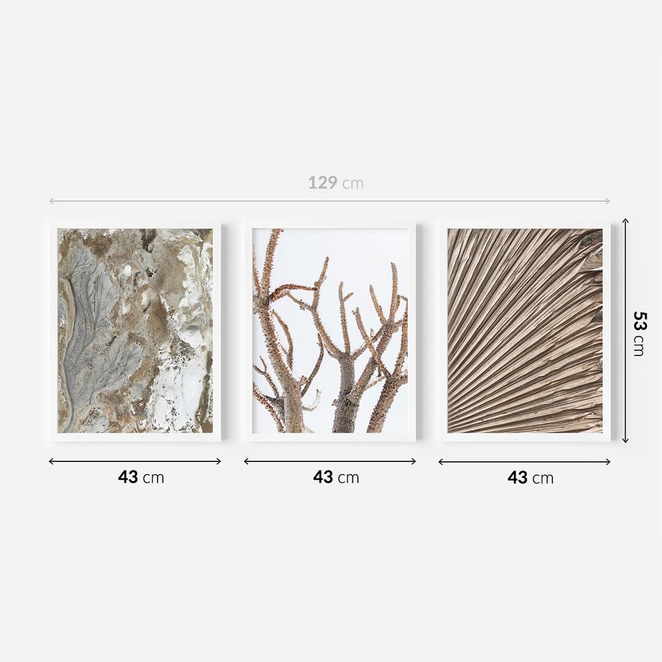 Zestaw obrazy w ramie 40x50 galeria - Minimalizm, beż, boho, suche - rama biała