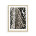 Plakat w ramie 30x40 - Egzotyczne Gałęzie - suche gałęzie, liście palmy - rama drewno