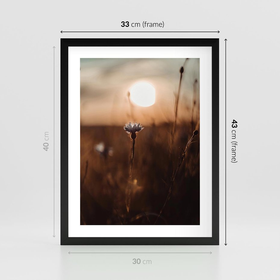 Plakat w ramie 30x40 - Spokój łąki pod zachodem słońca - zachód, słońca - rama czarna