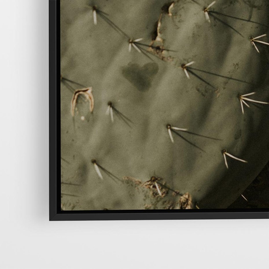 Obraz w ramie 50x50 - Urok Egzotyki - kaktusy, boho - rama czarna