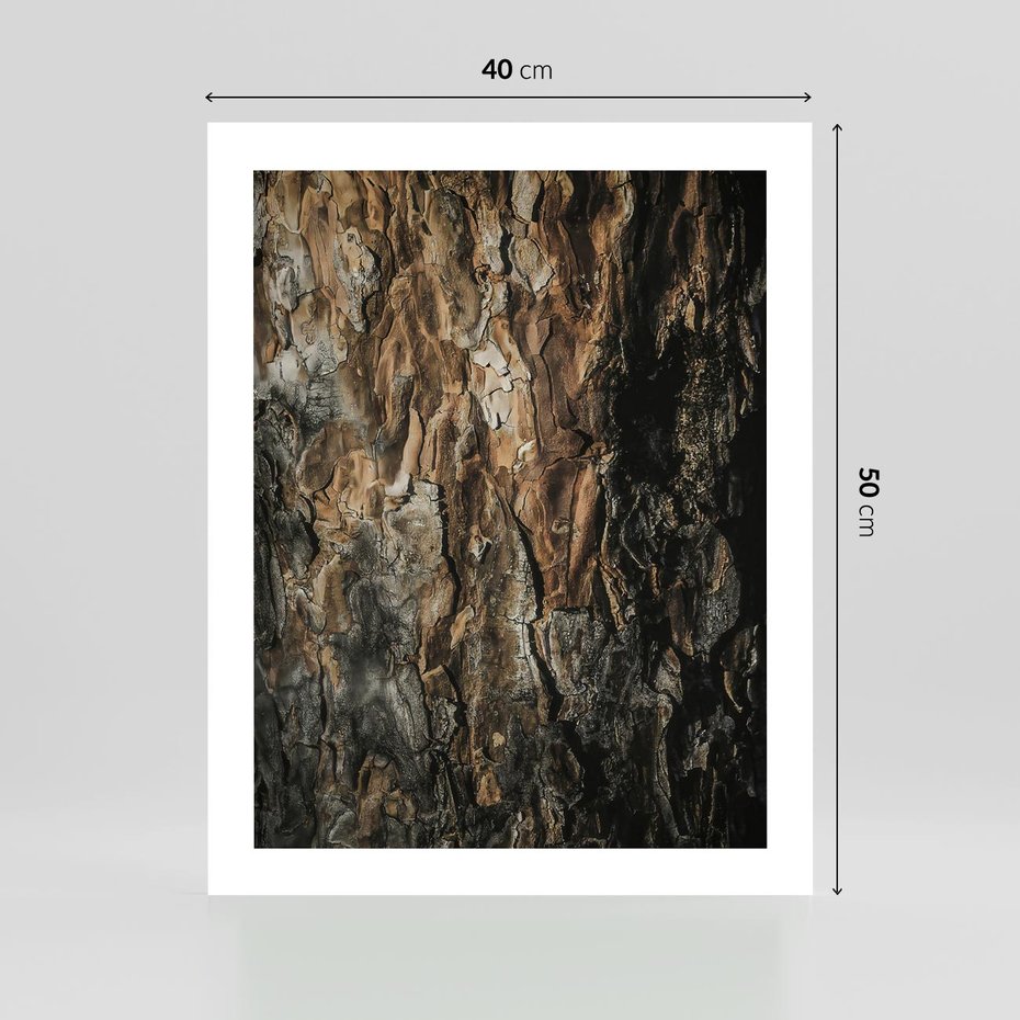 Plakat bez ramy 40x50 - Tekstura Drewna: Zbliżenie - zbliżenie na pień drzewa, tekstura