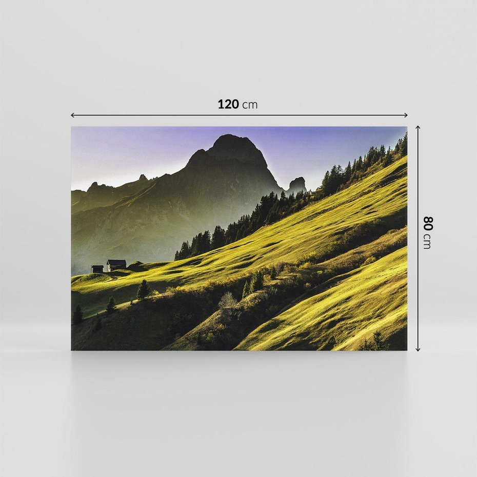 Obraz na płótnie 120x80 - Górska łąka - góry, łąka