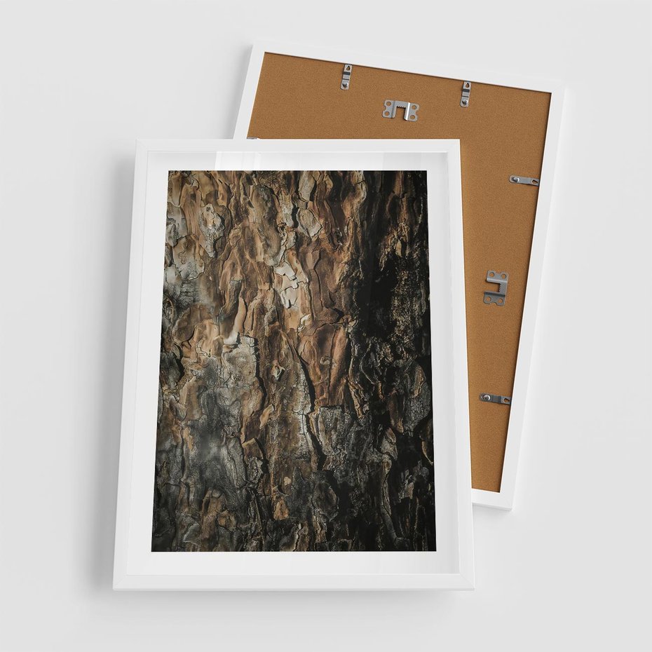Plakat w ramie 50x70 - Tekstura Drewna: Zbliżenie - zbliżenie na pień drzewa, tekstura - rama biała